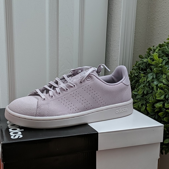 adidas advantage mauve